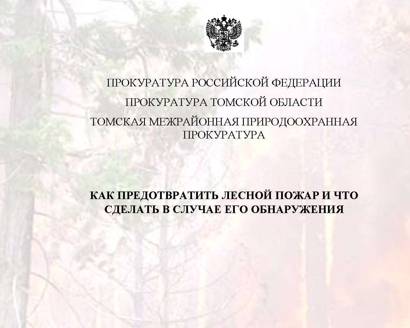 Берегите лес от пожаров.